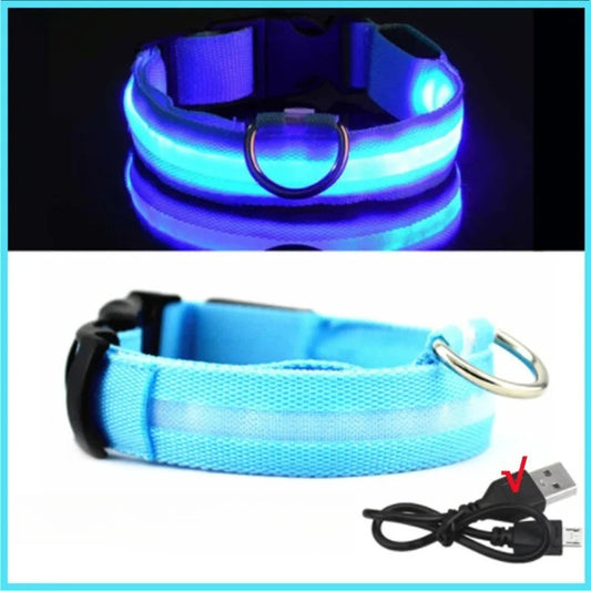 Blue, Light Up Collar (LED,USB,RECHARGEABLE)