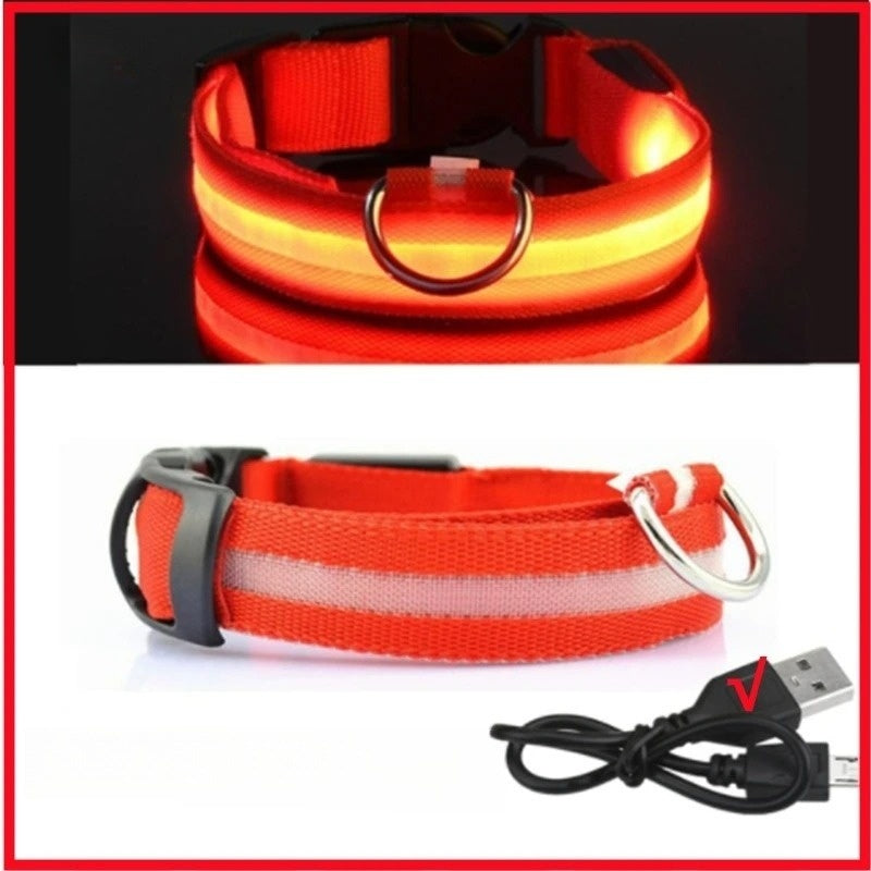 Red, Light Up Collar (LED,USB,RECHARGEABLE)