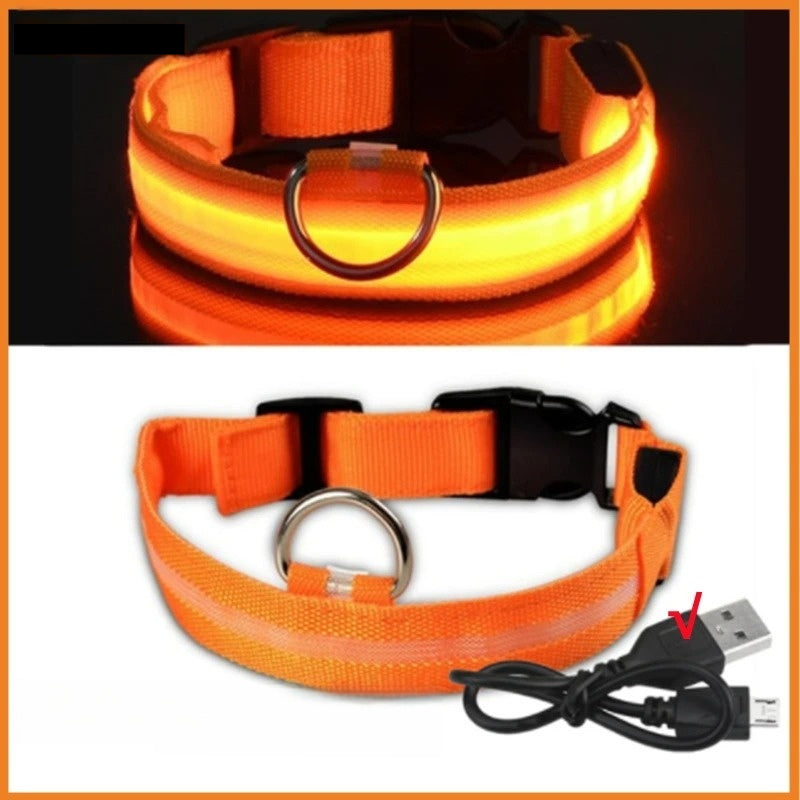 Orange, Light Up Collar (LED,USB,RECHARGEABLE)