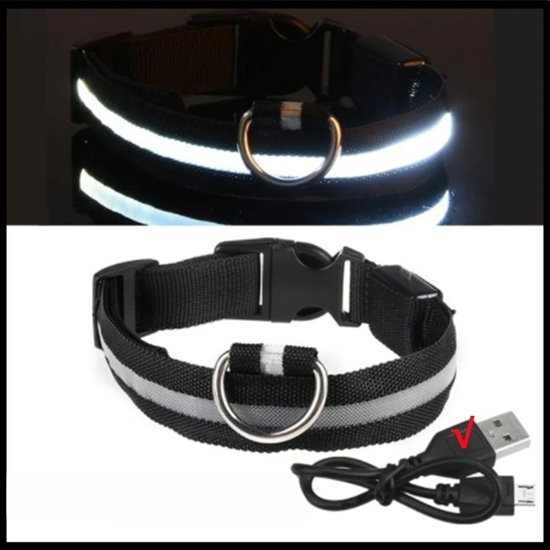 Black, Light Up Collar (LED,USB,RECHARGEABLE)