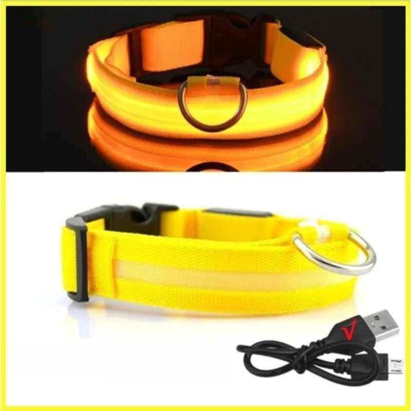 Yellow, Light Up Collar (LED,USB,RECHARGEABLE)