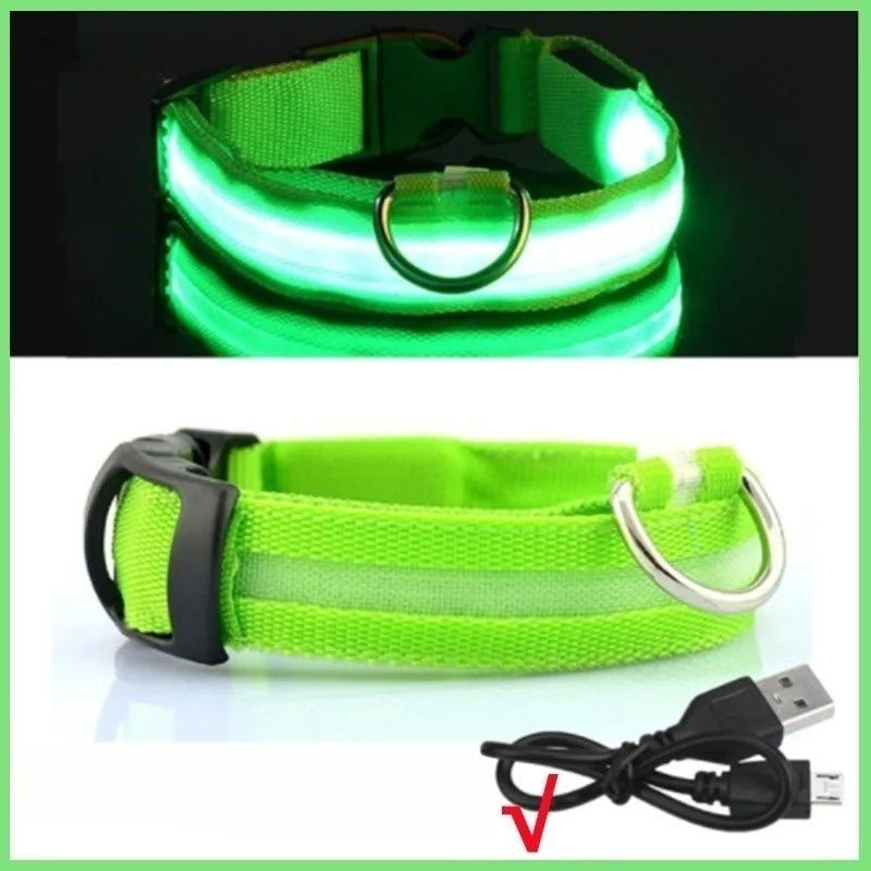 Green, Light Up Collar (LED,USB,RECHARGEABLE)