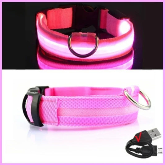 Pink, Light Up Collar (LED,USB,RECHARGEABLE)